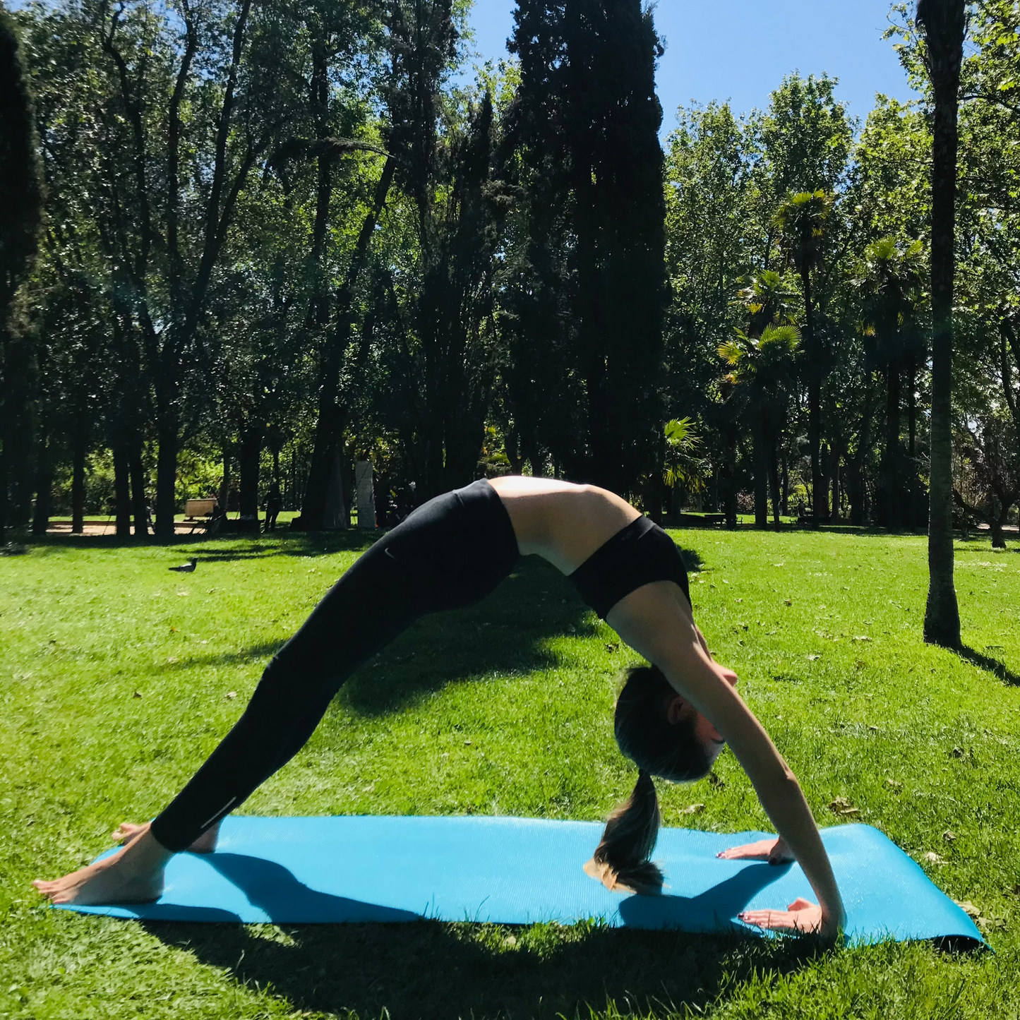 BOOKING YIN YOGA - PRECIO HÚESPEDES