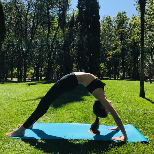 BOOKING YIN YOGA - PRECIO HÚESPEDES
